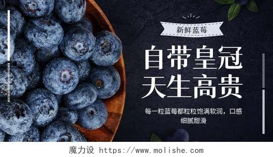 深色系简约水果海报活动宣传蓝莓海报banner